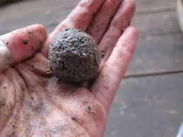 12. How to Make a Seed Bomb (10 p.) 12.1. Planting flowers in your surroundings 12.2. They add green into cities 12.3. Earth and liquid 12.4. 30 hours 12.5. 13. Horse s Memory (9 p.) 13.1. Hevoset muistavat ihmisten vihaiset/epäystävälliset ja ystävälliset/hymyilevät kasvonilmeet.