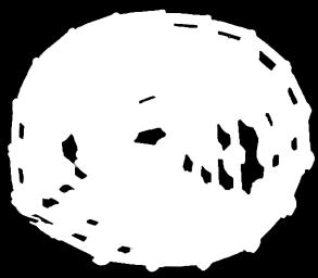 10 QQL100837 Koko [ ] Malli 340x4 Samson