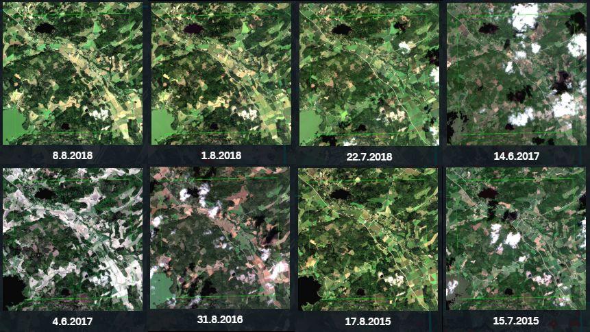 3 (5) 2.2 Muutostulkinnassa käytetty satelliittiaineisto Terramonitor käytti muutostulkinnassa Euroopan Avaruusjärjestön (ESA) operoiman Sentinel-2-satelliittien aineistoja.