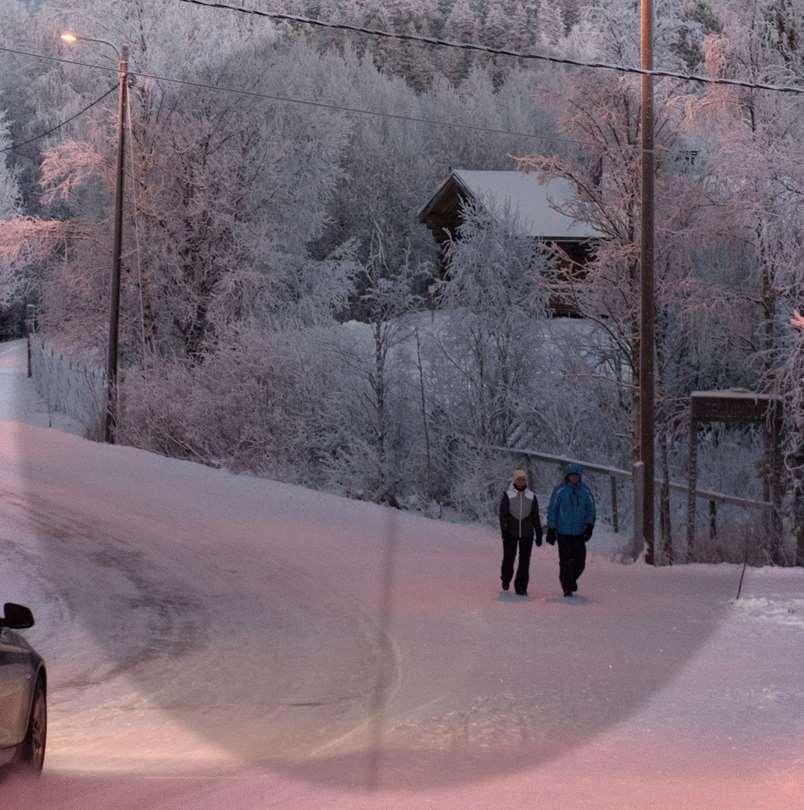 Maanteitä on yhteensä noin 78.000 km pääteitä (valta- ja kantatiet) reilut 13.000 km (17 % maanteistä), tästä moottoriteitä noin 900 km seutu- ja yhdysteitä noin 65.