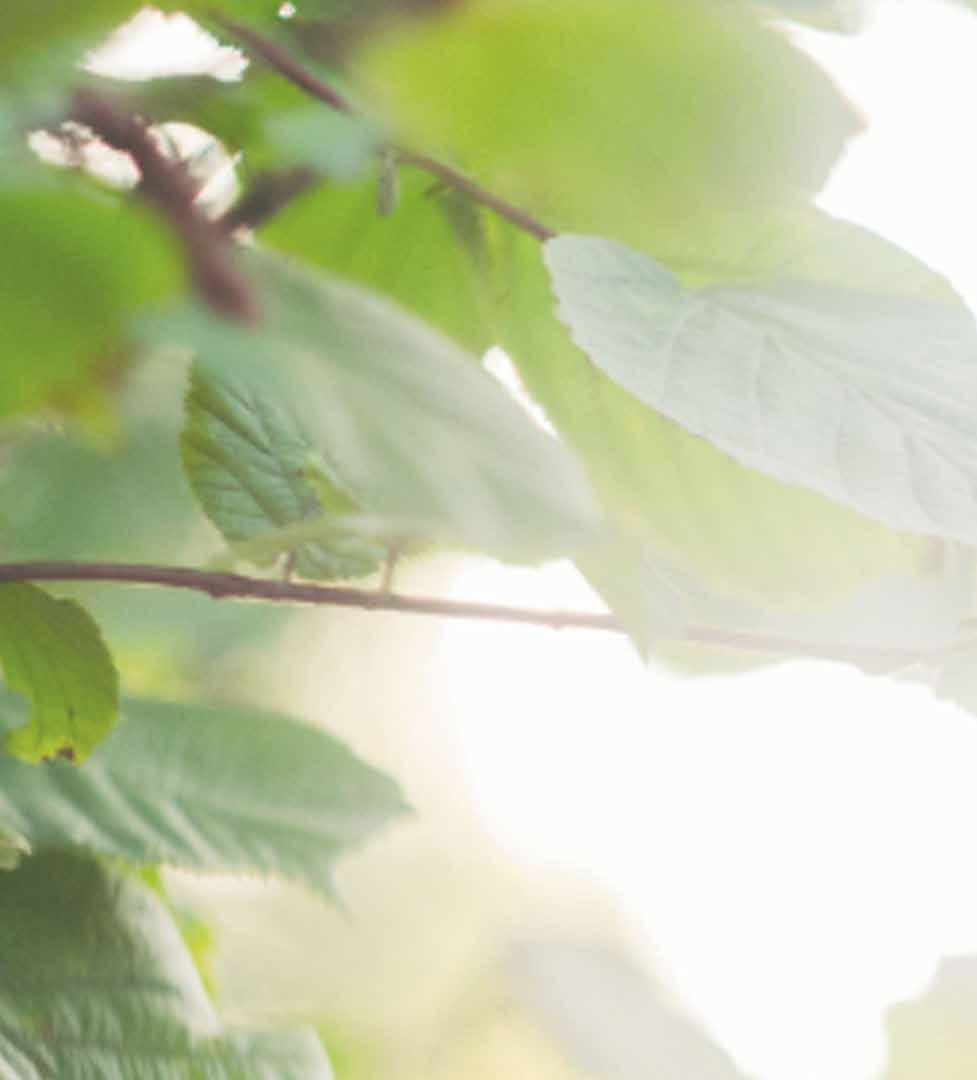 SIJINTI J PLVELUT Mikä alueessa viehättää? Koskela on saanut nimensä Vantaanjoen suulla kohisevan Vantaankaupunginkosken perusteella.