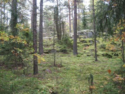 Länsireunalla kallioalue rajoittuu tiehen ja muutamiin asuintaloihin.