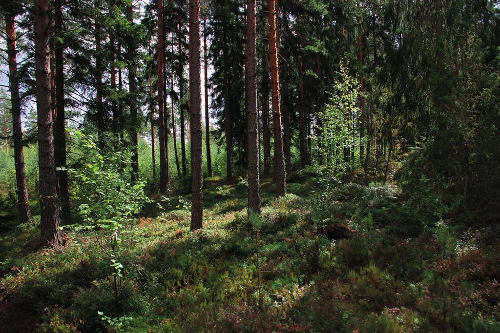 1. Johdanto Pornaisten kunta tilasi syksyllä 2018 :ltä Pornaisten keskustaajaman eteläpuolella sijaitsevan Kartanorinteen suunnittelualueen luontoarvojen perusselvityksen.