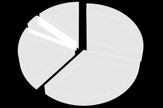 suurlahjoitukset muut tulot 4% 13% 29 %