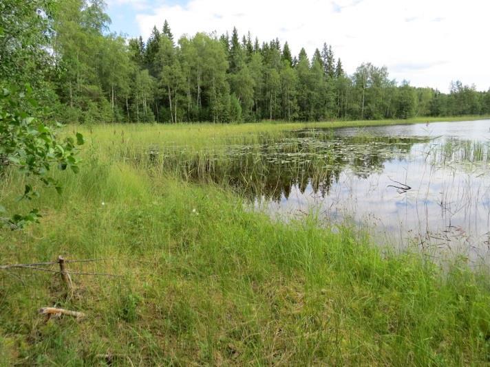 28 Täydennyskohteen linnusto todettiin tavanomaiseksi. Uhanalaisia lintulajeja ei todettu.