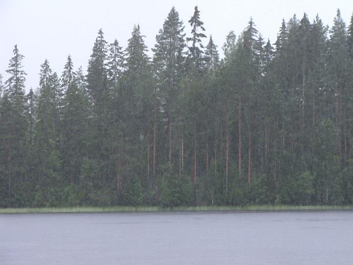 Rannan suojavyöhykkeen puusto on kookasta ja mäntyvaltaista. Ranta on matala ja mutainen johtuen pohjoispuolen soiden ja peltojen ojitusten aiheuttamasta pohjoispään rehevöitymisestä.