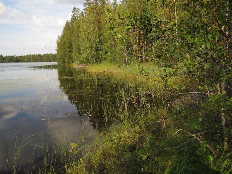 Liitooravaa, sellaisia luontotekijöitä, jotka olisi erityisesti huomioitava maankäytön suunnittelussa Kuva 74.