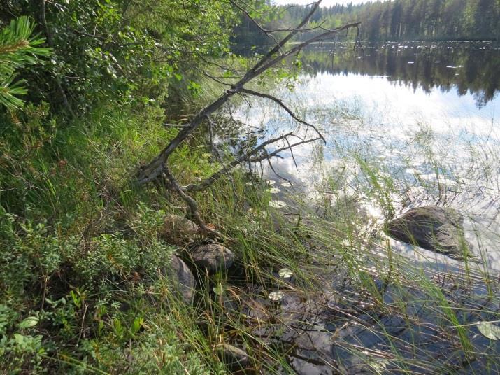 43 sellaisia luontotekijöitä, jotka olisi erityisesti huomioitava maankäytön suunnittelussa 54.