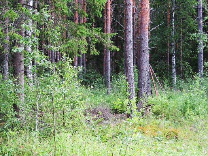 45 57. Otamalampi, kohde 57 Otamalampi sijaitsee kallioperän murroslaakson päässä. Lammen lounaispäässä on peltoja. Täydennyskohde sijaitsee lammen alavalla pohjoisrannalla.