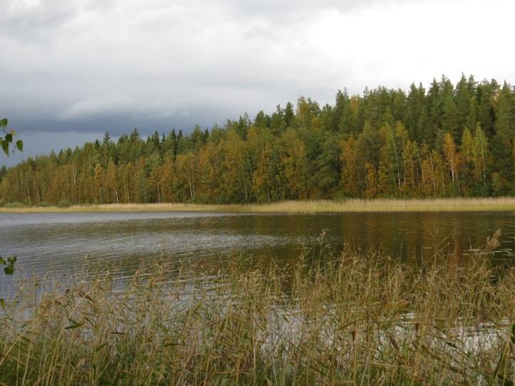 55 Täydennyskohteen linnusto todettiin niin ikään tavanomaiseksi. Uhanalaisia lintulajeja ei todettu. Liito-oravaa, 70.