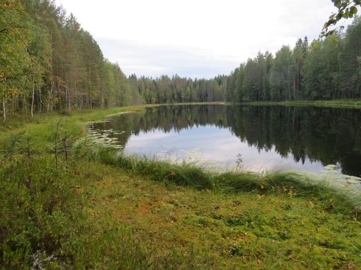 60 Lampi on pienialainen ja luonnontilainen ja maisemallisesti merkittävä, jonka vuoksi täydennyskohde tulisi jättää nykytilaansa (Kuva 118.).