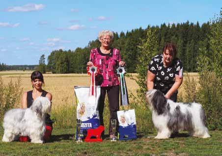 Kaiken kaikkiaan tuon päivän kokemuksella rodun taso Suomessa on varsin hyvä ja siitä on tietysti kiittäminen kasvattajia, jotka ovat tehneet huolellista ja hyvää työtä.