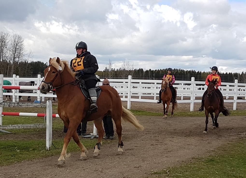 Matkaratastuskilpailut Kellokoskella 5.5.2019 Ratsastusseura Horsy Team järjesti keväisessä säässä toukokuun alussa matkaratsastuskilpailut Tuusulassa.
