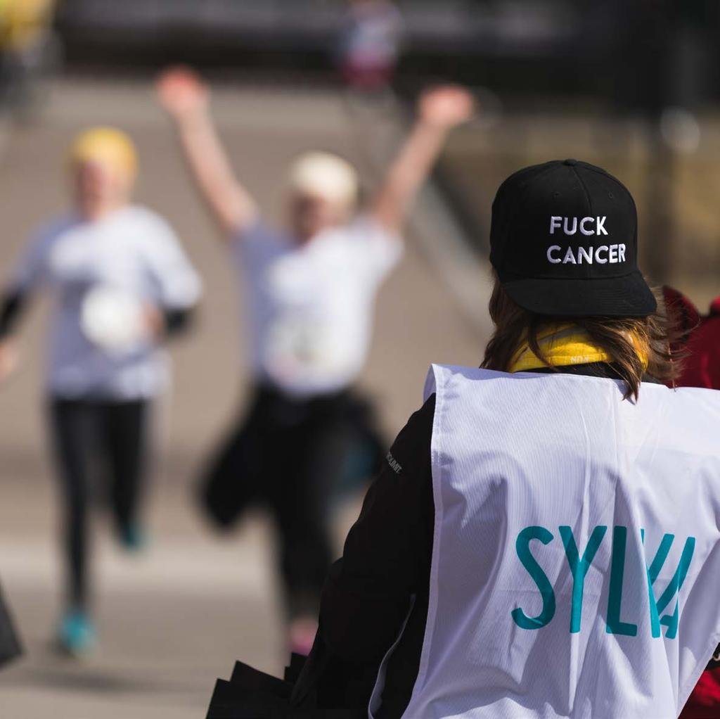 Vapaaehtoistoiminta Ammatillisesti koordinoitu vapaaehtoistoiminta starttasi Sylvassa Vuosi 2018 oli Sylvan vapaaehtoistoiminnan lanseeraamisen vuosi.