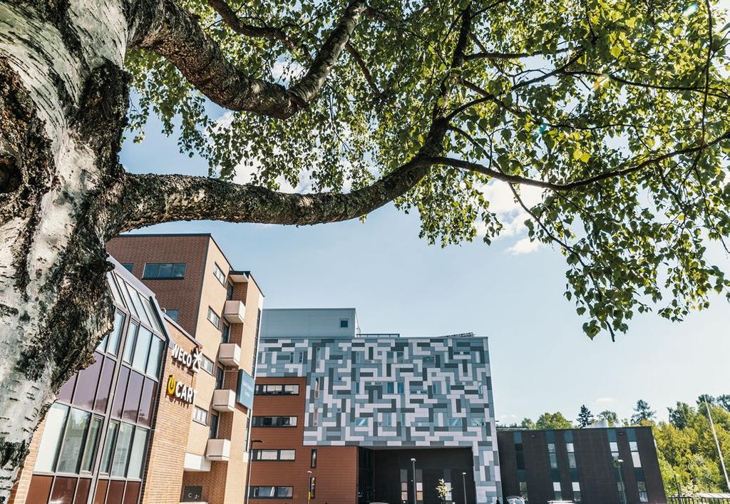 Ohjausryhmä vastaa Yliopistokampuksen strategisesta johtamisesta ja tavoitteiden asettamisesta sekä päättää sen toimintaperiaatteista. Ryhmän kokoonpano oli vuonna 2018 seuraava: Helsingin yliopisto.
