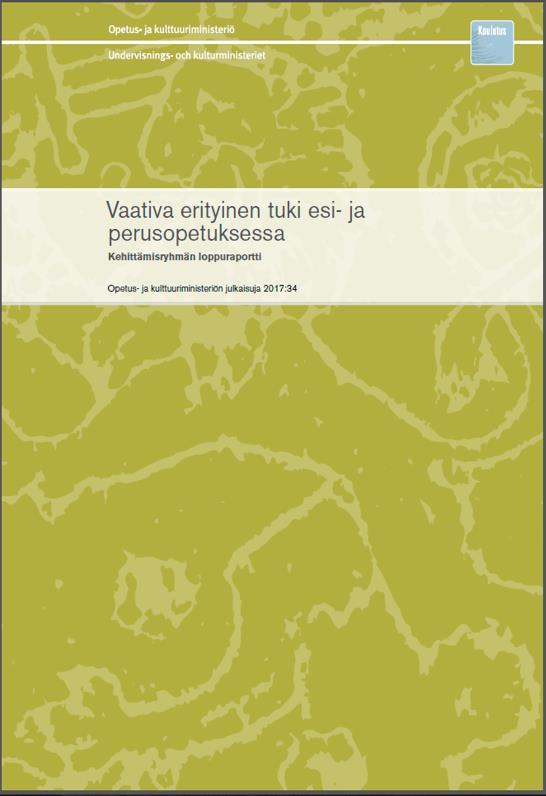 VAATIVAN ERITYINEN TUKI ESI- JA PERUSOPETUKSESSA LOPPURAPORTTI - KEHITTÄMISEHDOTUS 3 / 12 Sairaalaopetusyksiköt, Elmeri-koulut, valtion koulukotikoulut, kunnalliset erityiskoulut, oppimis- ja