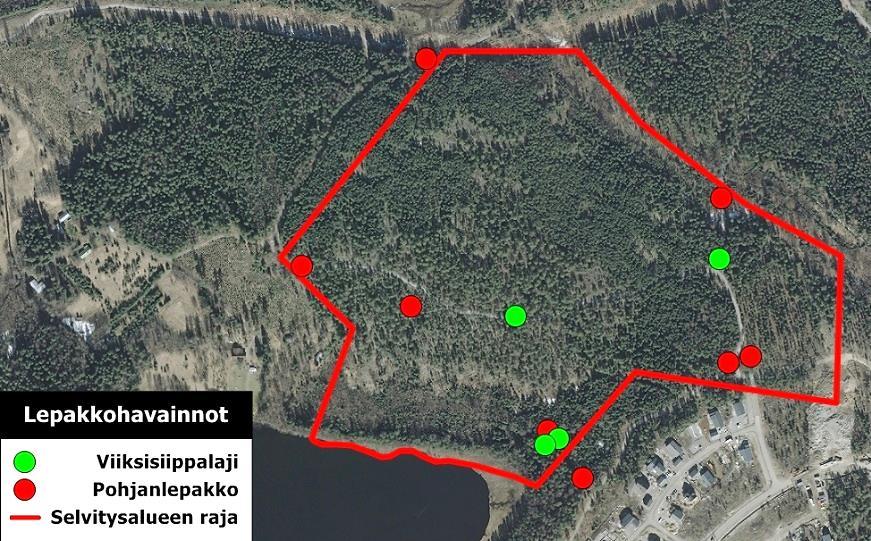 3.4 Lepakot Grundträsketillä havaittiin kaikilla laskentakerroilla kuikkapari. Heinäkuussa 2015 järvellä oleskeli kolme aikuista kuikkaa.