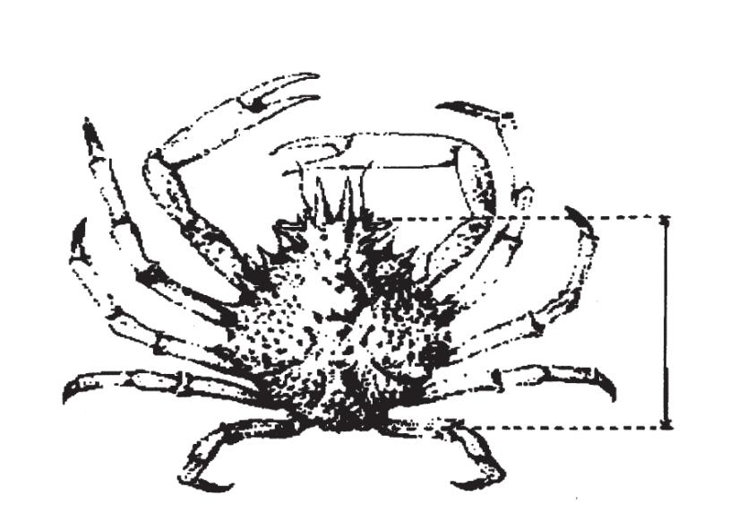 Kuva 6