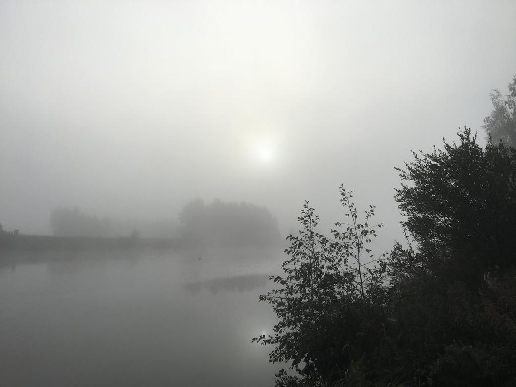 KIITOS! LISÄTIEDOT: Palvelujohtaja Eija Kangasoja eija.kangasoja@ylivieska.fi Hallinnon suunnittelija Nina Savolainen nina.