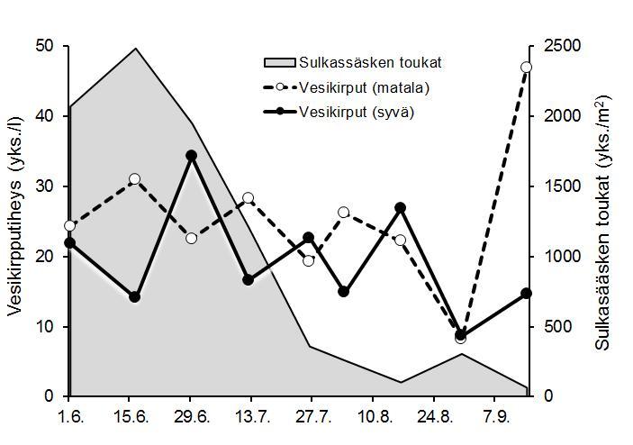 Kuva 7. Vesikirpputiheys syvänteen ja matalan alueen näytteenottopaikoilla sekä sulkasääsken toukkien tiheys syvännepisteellä kesän 2017 aikana. 3.