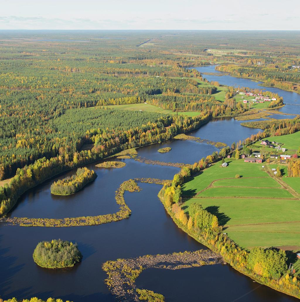 Tammikuu-kesäkuu Osavuosikatsaus