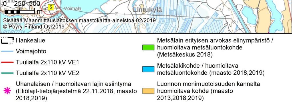 todennäköisesti kuivuu kesän aikana. Viitasammakkoa ei havaittu alueella.