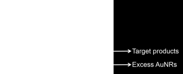 5% agarose gel for separating the