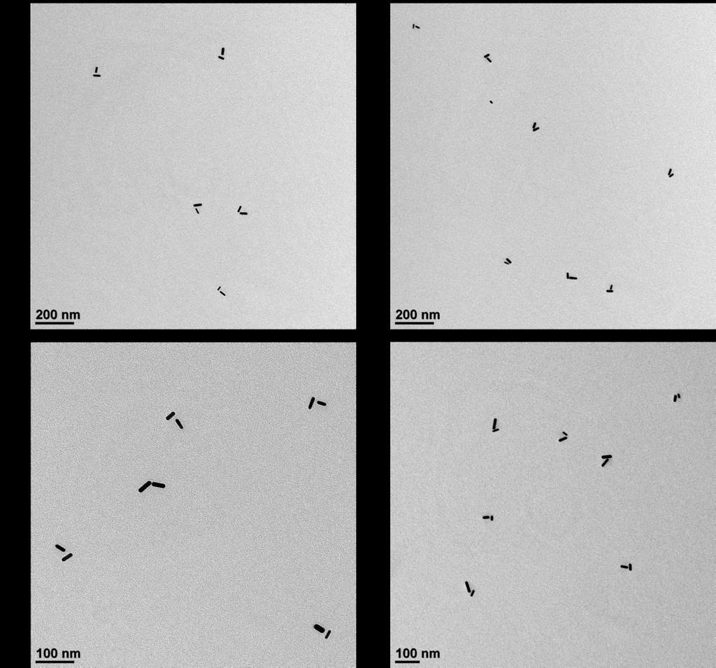 Supplementary Figure 6 TEM images of the plasmonic walker structures at stations II, III, IV, and V.