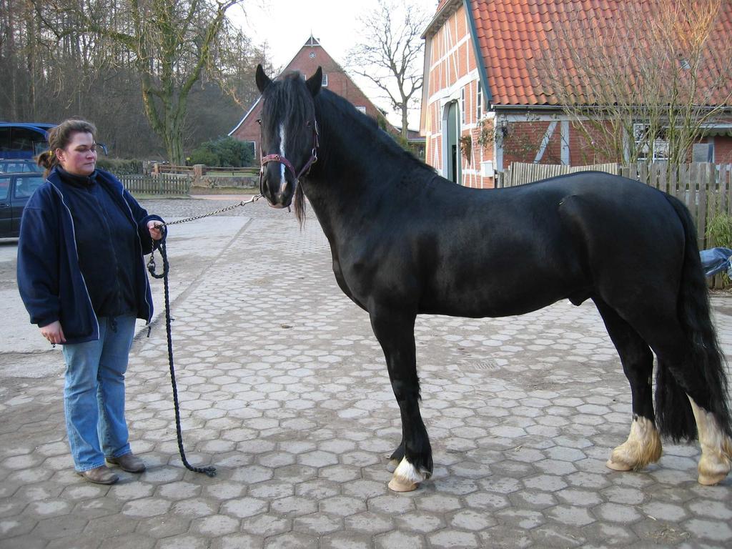11 STABLE STAHMER Osoite: Haus nr. 23795 Hohenfelde Stahmerin perheen omistama talli sijaitsee maaseudulla Hampurin läheisyydessä.