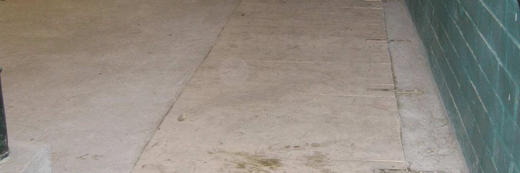sopetuskarsina, missä uusi ryhmään tuleva hevonen tutustuu vieressä aidan takana