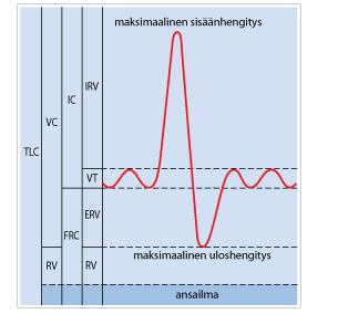 Functional residual capasity FRC Anestesian kannalta tärkein on uloshengityksen lopussa keuhkoihin jäävä tilavuus Tärkein hapen varasto N.