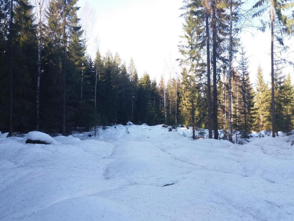 KOHDE 1 Kohteessa 1 liito-oravan kulkureitti ylittää asemakaavaehdotuksen mukaisen Rissonkadun ja Tietäjänkadun. Katujen väliin jää VL-6 alue.