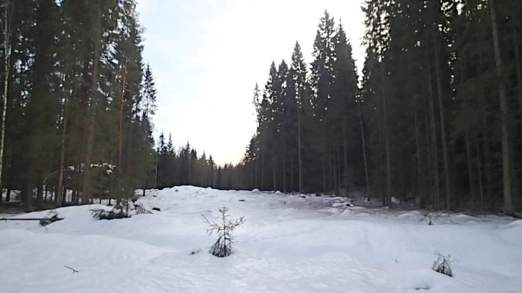 Kuva 10. Kohde 4 Kuvaussuunta etelään. Todennäköinen nykyinen kulkuyhteyspaikka.