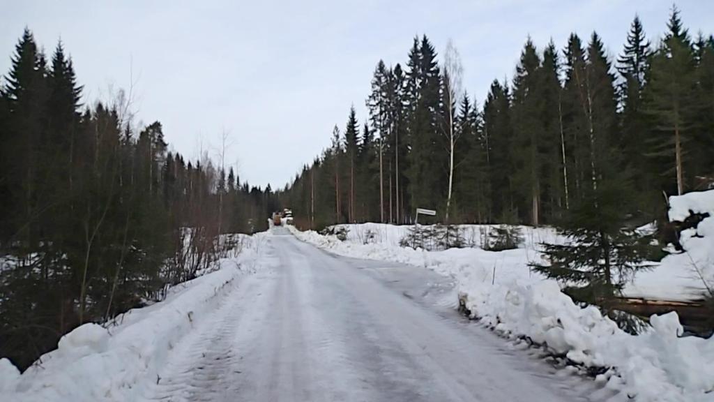 Tällä hetkellä liito-oravan todennäköinen kulkuyhteys on Riesonpolun eteläpuolella, jossa molemmin puolin tietä on suurikokoista kuusikkoa.