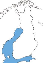 Silakan suomut irtoavat herkästi, sillä ei ole kylkiviivaa ja sen suu on suhteellisen suuri ja hampaaton. Silakka muistuttaa paljon kilohailia.
