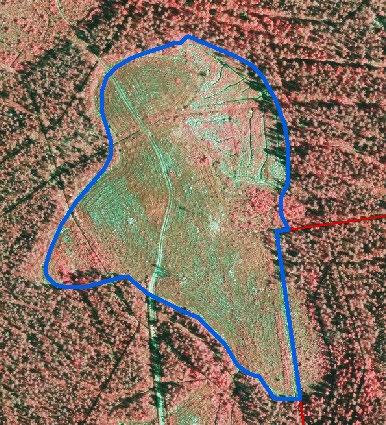 Esimerkki 2 2015 tehdyn puustotulkinnan perusteella ei puustotietoja eli kyseessä on aukea alue tai pieni taimikko (< 2 m) Ei tietoa suunnitellusta tai toteutuneesta taimikon perustamistavasta