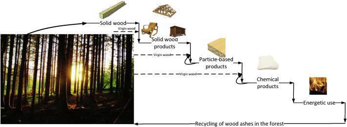 Waste Wood From Ordinary Waste to Valuable Bioresource