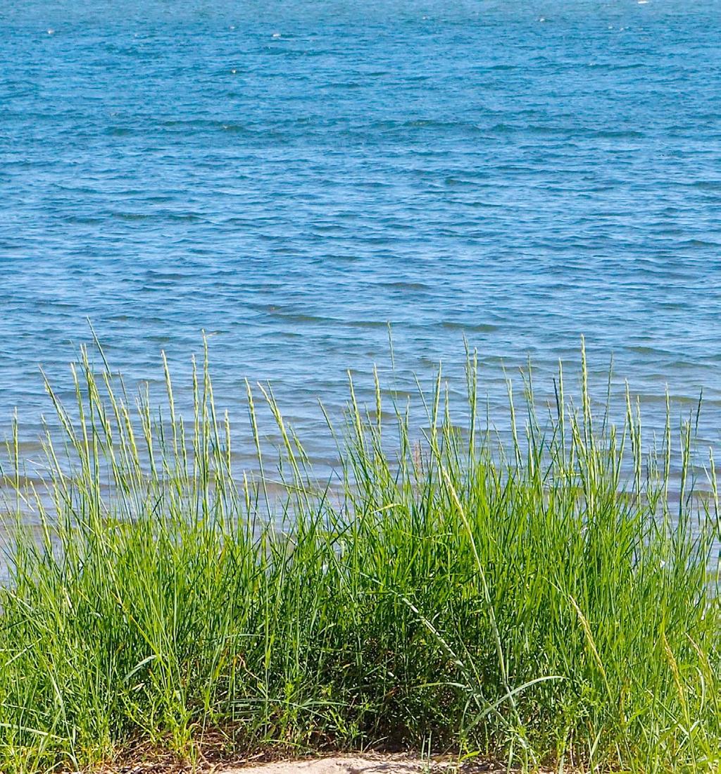 Uusimaa-kaava 2050 ESPOONLAHTI SAUNALAHTI NATURA 2000