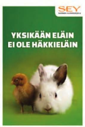 Hän nosti esiin muun muassa mikrobilääkeresistenssin ja sen seurannan.