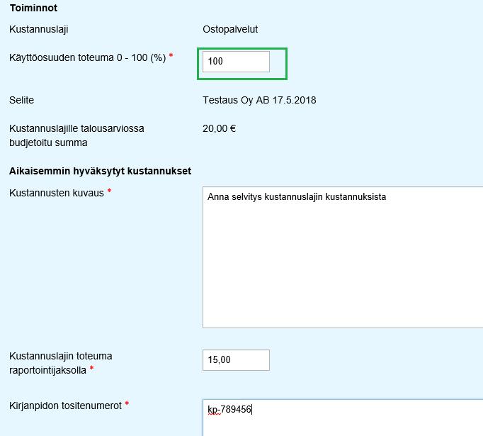 Hanketoimintokustannukset ja muut hankekustannukset raportoi kustannukset toiminnoittain ja kustannuslajeittain avaa lisätieto-kohtaan, mistä kustannuksista kyse eli