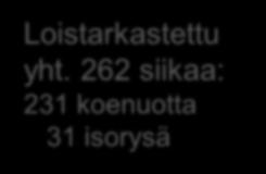Haukimadon toukkien lukumäärä siikafileissä 2018 (tähän asti)