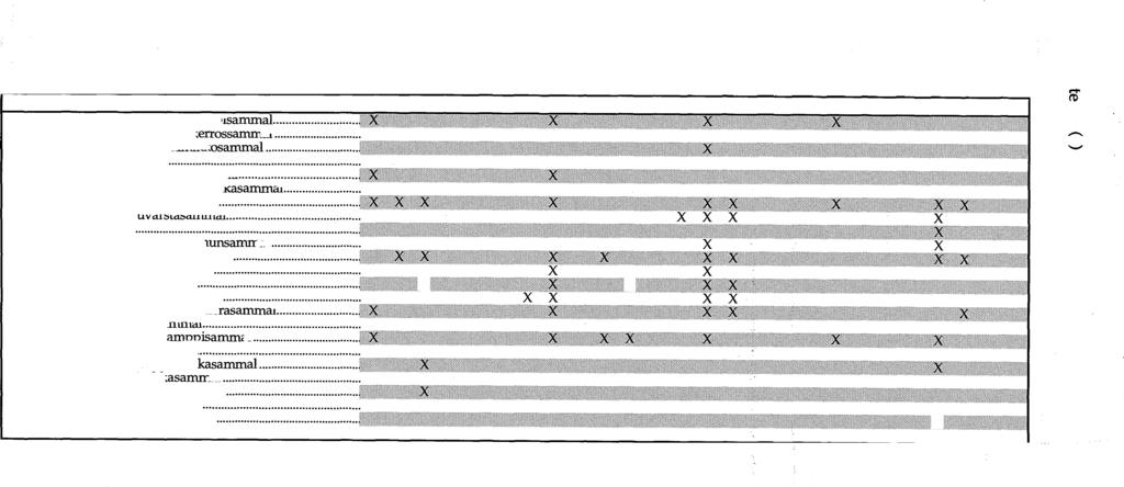 Sammal Saari 1 Drepanocladus adll?cus -luhta_sirpp' Hyfocomium splendens -metsäl< 1::11 Hypnum lindbergii -luhtapa lrnih Pellia sp. -lapasammal.