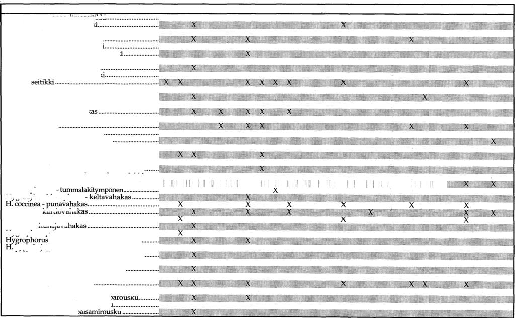 Sieni Saari 1 C. collinitus - kangasrnnasern Kic1 C. croceus - keltahelttaseitil<l C. laniger - valkovillaseitikki... C. mucosus - nummilimaeitikki C. pholideus - suomuvyöseitikki C.