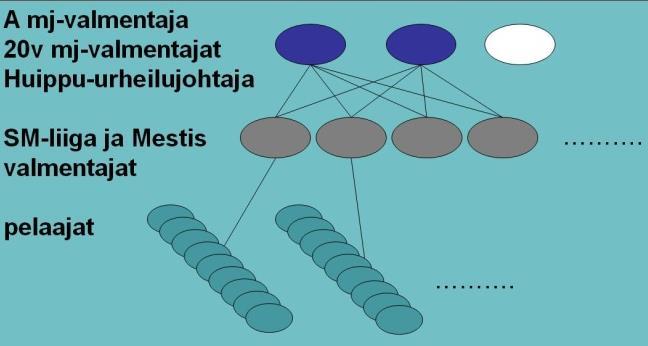 Suomi-Kiekon organisointi http://leijonanpolku.fi/ http://leijonanpolku.fi/index.