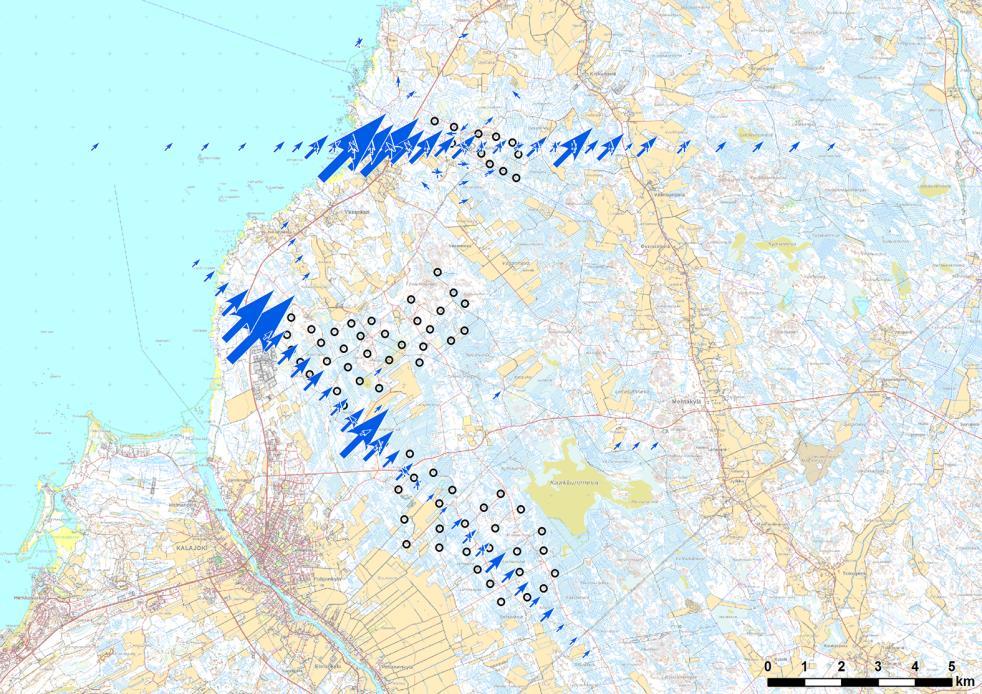 Hanhien kevätmuutto Kalajoella ja Pyhäjoella 2017
