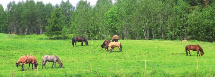 Farm-aitaustarvikkeet -aitaustarvikkeet Lasikuitupylväs Farm, 110 cm, 10 kpl Kahdella eristimellä joista toinen siirrettävissä. Sopii 5-20 mm nauhoille ja ohuille langoille.