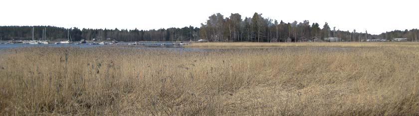 4.4.2 Lähtökohta-aineiston antamat tavoitteet Maanomistajan ase amat tavoi eet Maanomistajien tavoi eena on, e ä alueelle voitaisiin rakentaa lisää asuinkerrosalaa osin yksi kerros lisäämällä,