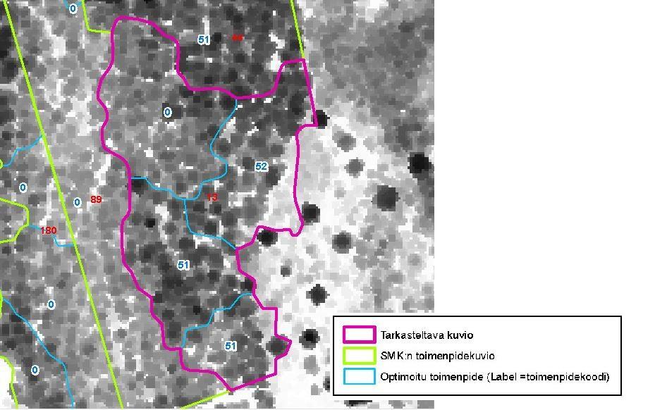 Tuosta seuraa se, että kuviolle toimenpideoptimoidut alueet eivät kuvaa vallitsevaa puustoa, ei toimenpidettä. Virhemuuttuja 5,2.