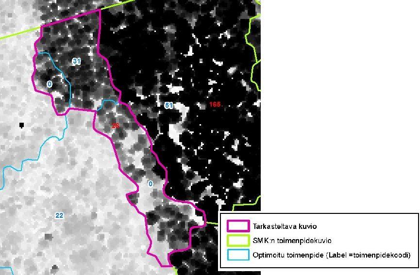 Koko tarkastettavalle kuviolle simuloituu eteläisen osan mukainen harvennushakkuu. Sen perusteella kuvion jakamiseen ei ole tarvetta. Virhemuuttuja 3,8.