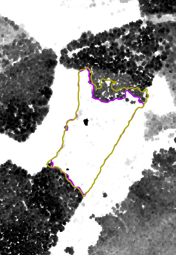 Laserin ja Ilmakuva CHM:ien erotuksessa uudistushakkuun rajaus on valunut harvan